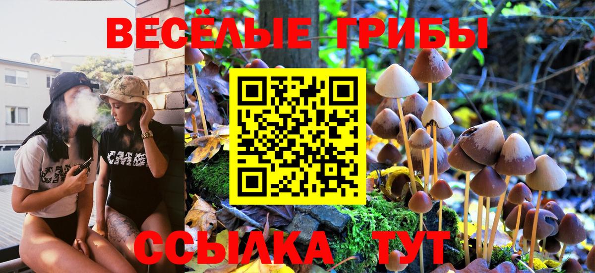 купить наркотики цена  Галлюциногенные грибы Psilocybe  Вход с VPN  Приморско-Ахтарск 